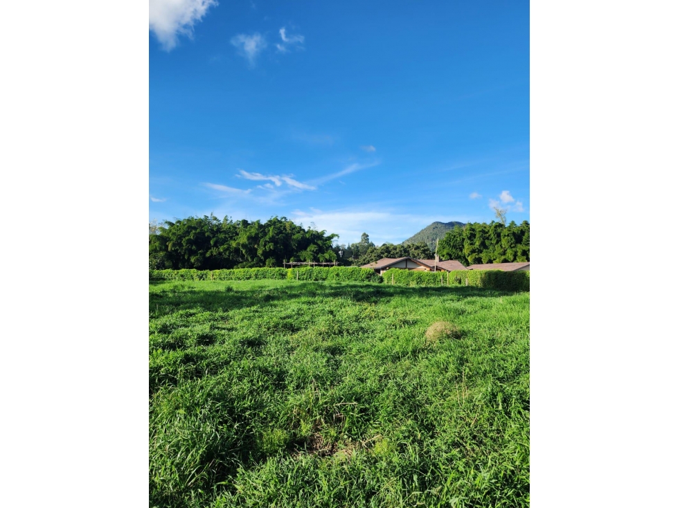 VENTA HERMOSOS LOTES UBICADOS EN LA CEJA, SECTOR YARUMOS — foto 2