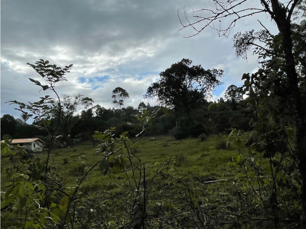 VENTA LOTE EN GUARNE, CON HERMOSA VEGETACIÒN - 4