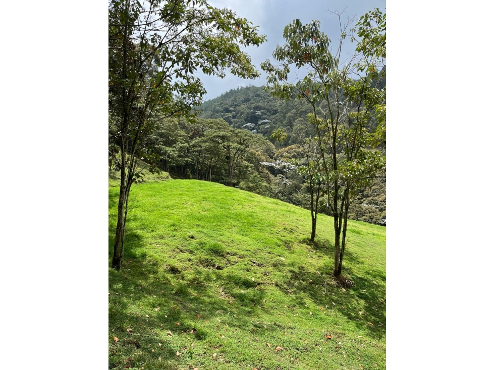 VENTA LOTE EN ESPECTACULAR RESERVA, EN EL RETIRO — foto 2