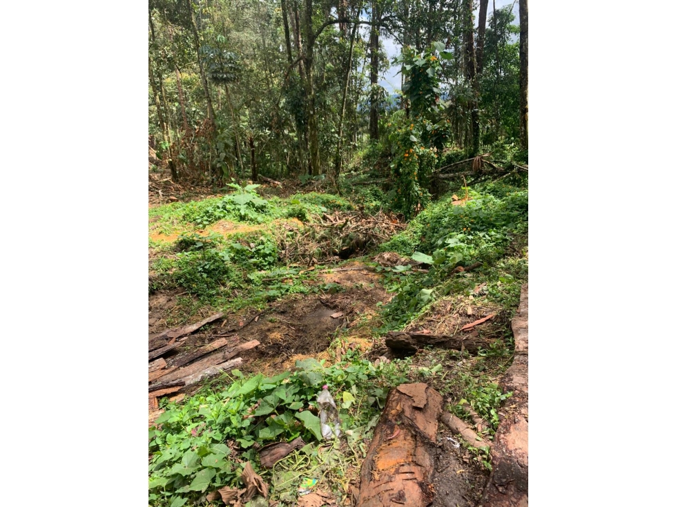 VENTA LOTE CON QUEBRADA Y ARBOLES UBICADO EN PARCELACIÓN- EN EL RETIRO — foto 3
