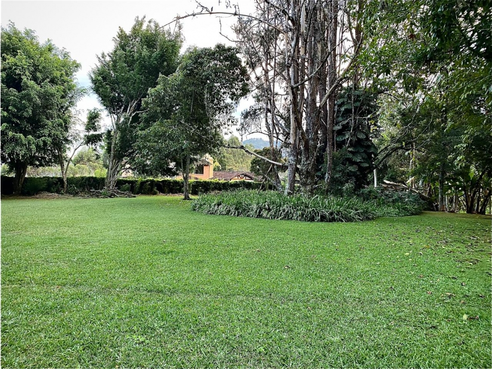 AMPLIO LOTE CON CASA TRADICIONAL, EN RIONEGRO