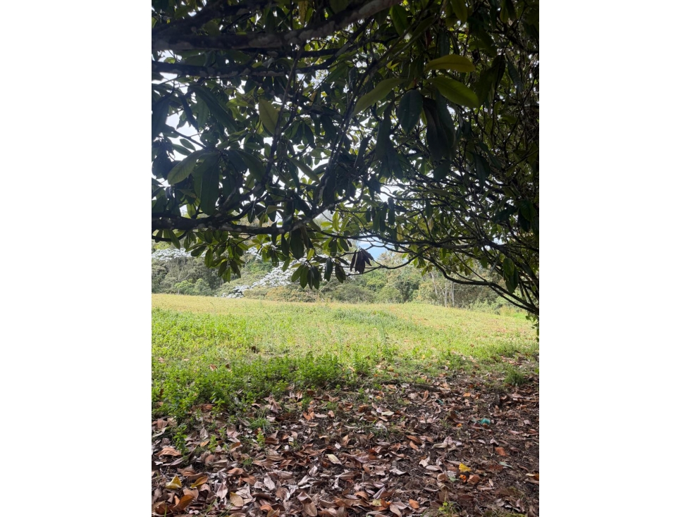 LOTE EN VENTA EN PARCELACION EL RETIRO, ANTIOQUIA