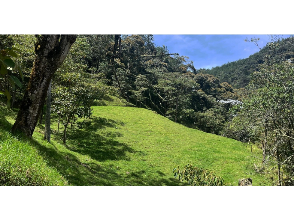 VENTA LOTE EN ESPECTACULAR RESERVA, EN EL RETIRO — foto 3