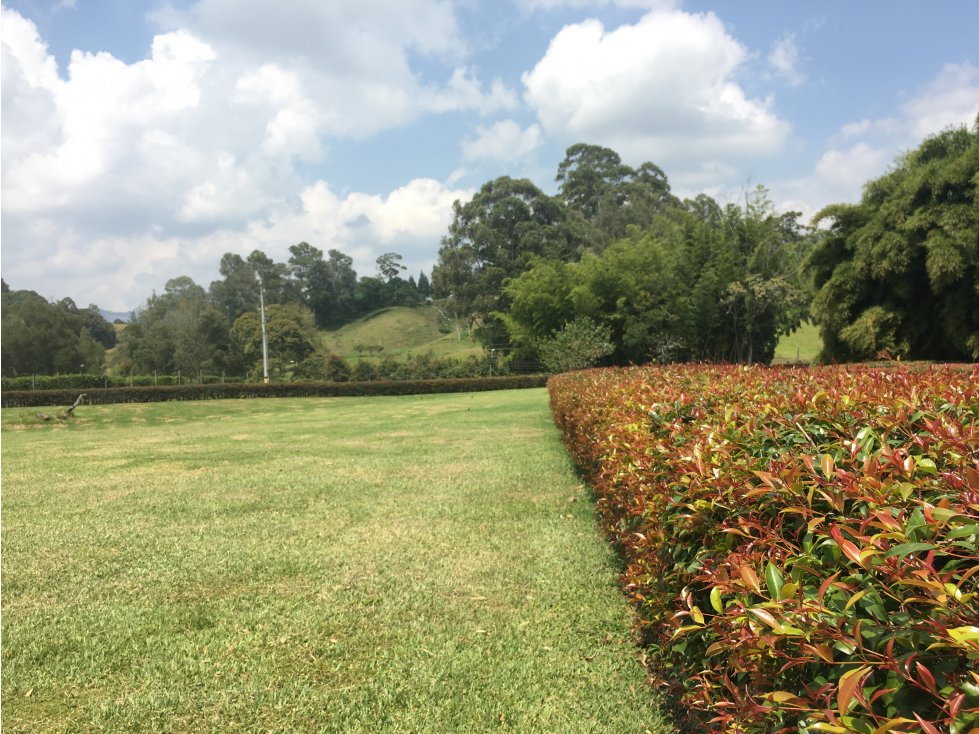 VENTA DE HERMOSO LOTE PLANO EN RIONEGRO ANTIOQUIA, ORIENTE — foto 5