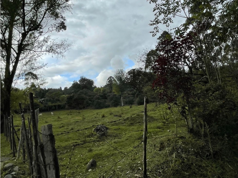 VENTA LOTE EN GUARNE, CON HERMOSA VEGETACIÒN - 3