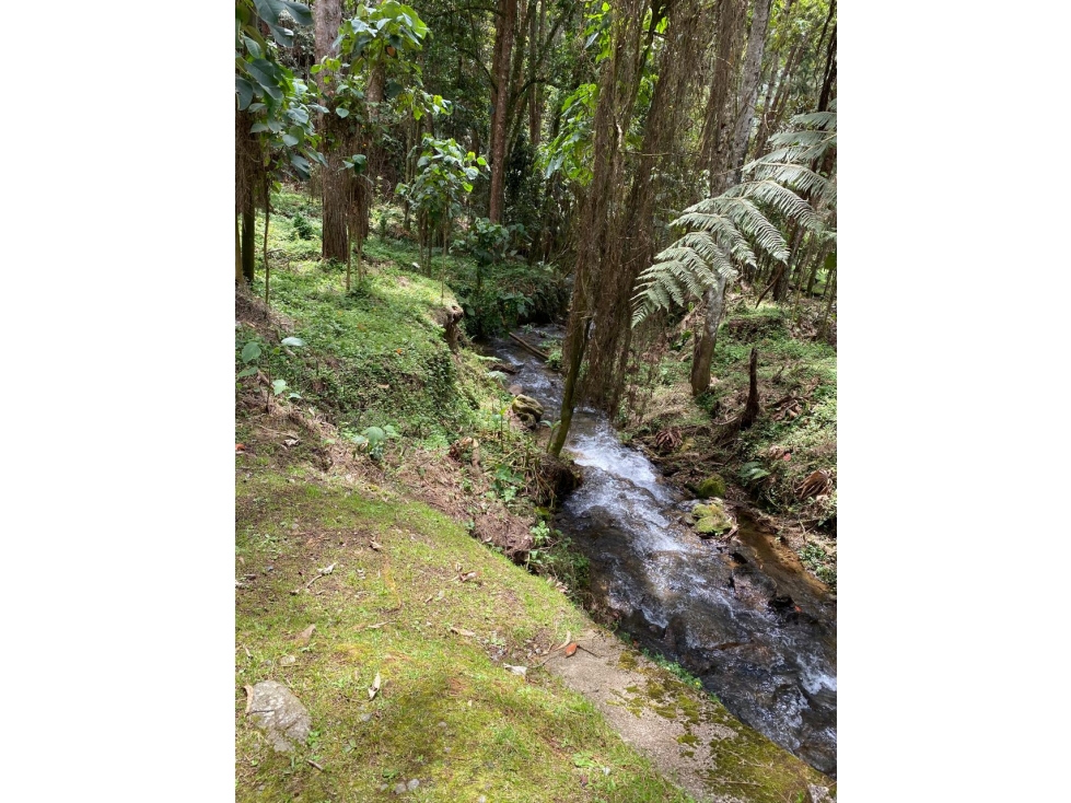 VENTA LOTE CON QUEBRADA Y ARBOLES UBICADO EN PARCELACIÓN- EN EL RETIRO — foto 4