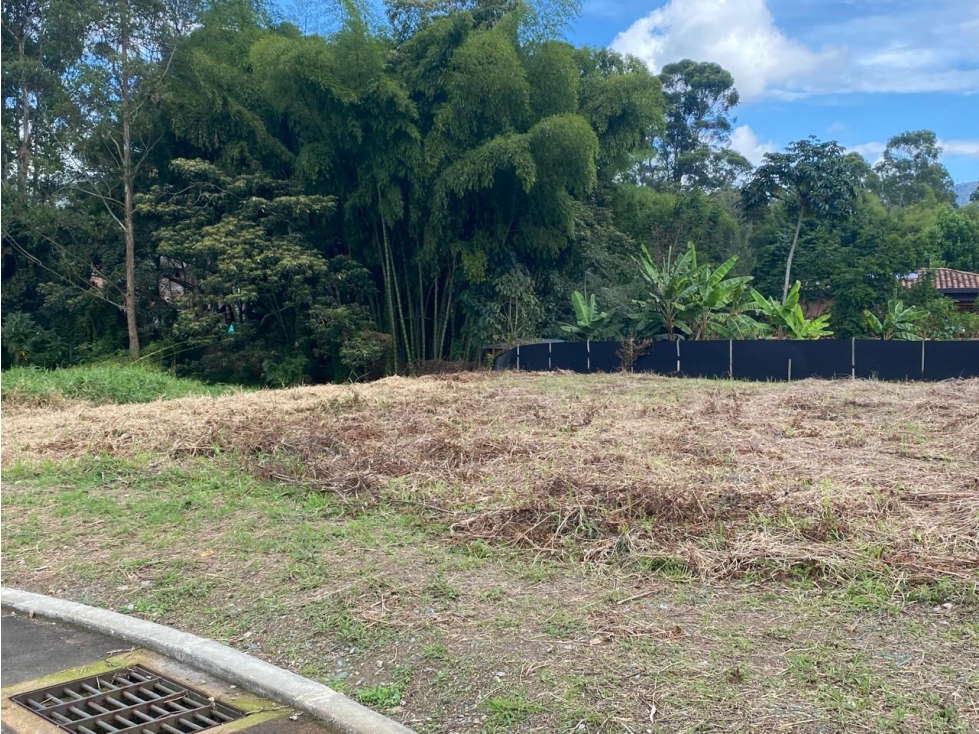 LOTE DE ALTA VALORIZACION PARA VIVIENDA E INVERSION, EN LA CEJA — foto 2