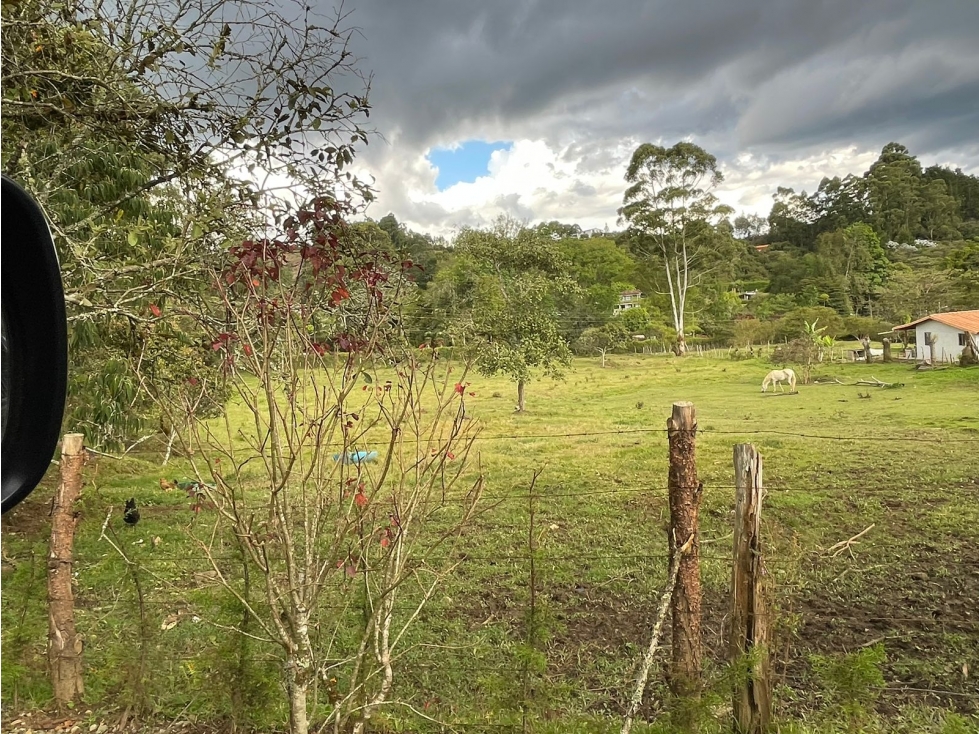 VENTA LOTE EN GUARNE, CON HERMOSA VEGETACIÒN - 5