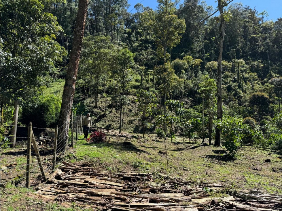 VENTA LOTE CON QUEBRADA Y ARBOLES UBICADO EN PARCELACIÓN- EN EL RETIRO — foto 2