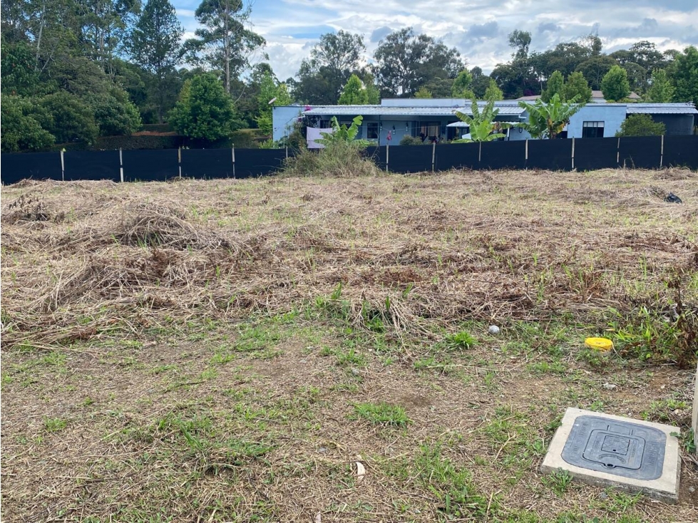 LOTE DE ALTA VALORIZACION PARA VIVIENDA E INVERSION, EN LA CEJA — foto 3