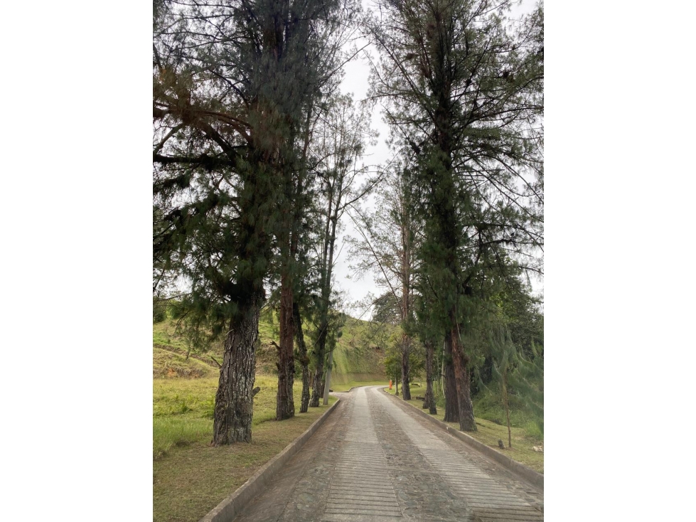 LOTE CAMPESTRE EN PARCELACION EN RIONEGRO