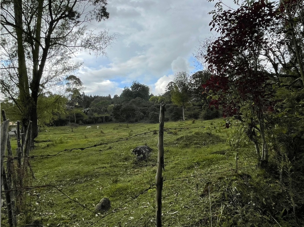 VENTA LOTE EN GUARNE, CON HERMOSA VEGETACIÒN - 1