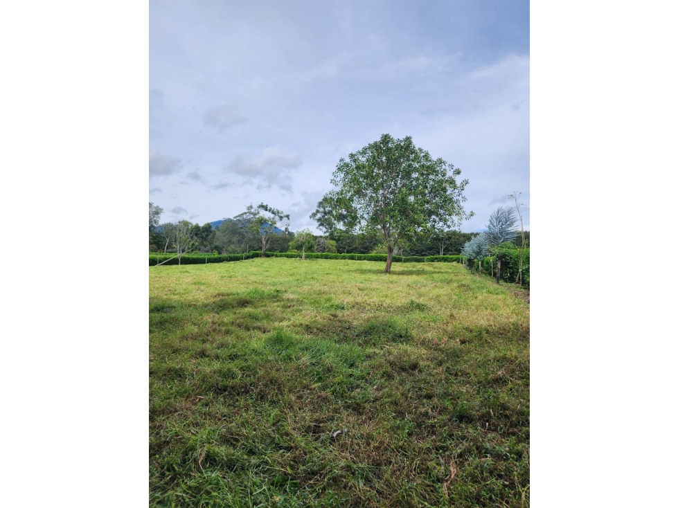 VENTA HERMOSOS LOTES UBICADOS EN LA CEJA, SECTOR YARUMOS