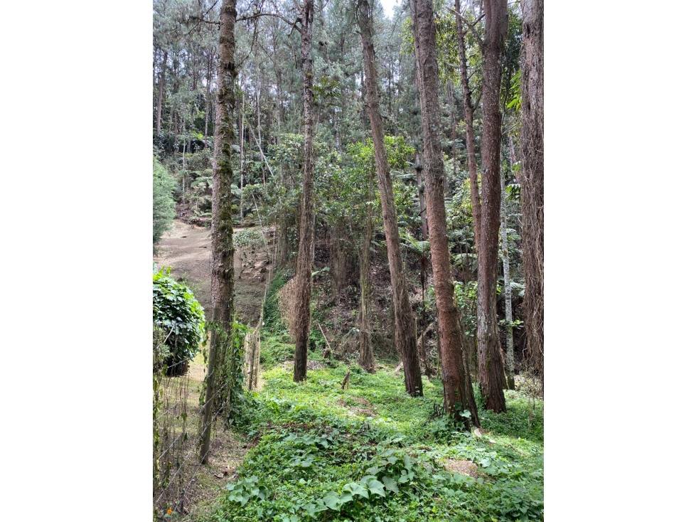 VENTA LOTE CON QUEBRADA Y ARBOLES UBICADO EN PARCELACIÓN- EN EL RETIRO — foto 5