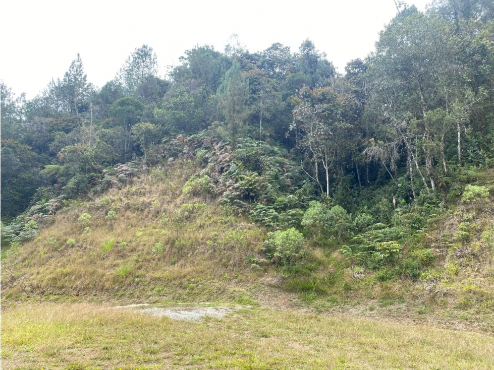 VENTA LOTE EN EL RETIRO, AMBIENTE TRANQUILO