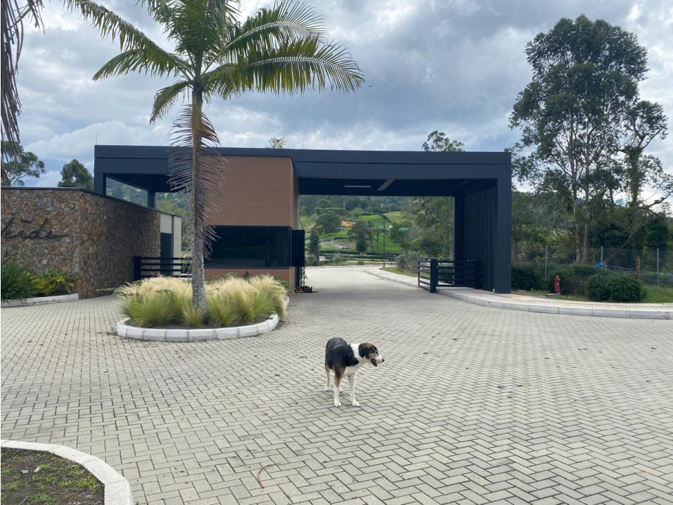 LOTE DE ALTA VALORIZACION PARA VIVIENDA E INVERSION, EN LA CEJA — foto 4