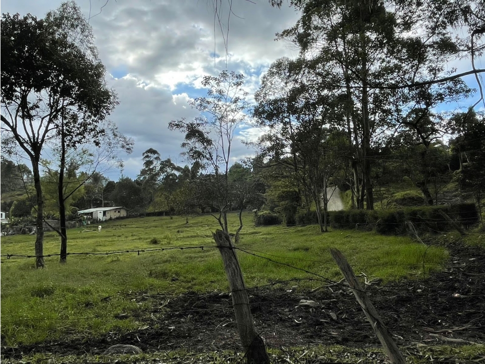VENTA LOTE EN GUARNE, CON HERMOSA VEGETACIÒN - 6
