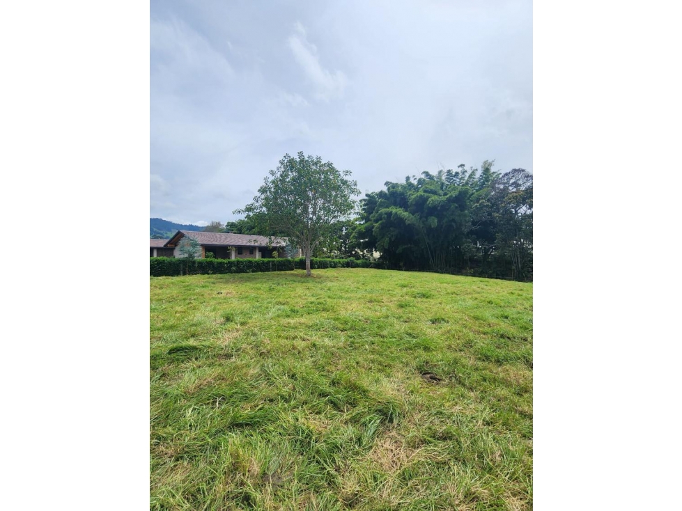 VENTA HERMOSOS LOTES UBICADOS EN LA CEJA, SECTOR YARUMOS — foto 3