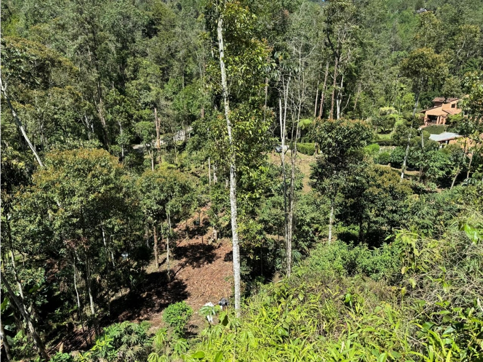 VENTA LOTE CON QUEBRADA Y ARBOLES UBICADO EN PARCELACIÓN- EN EL RETIRO — foto 6