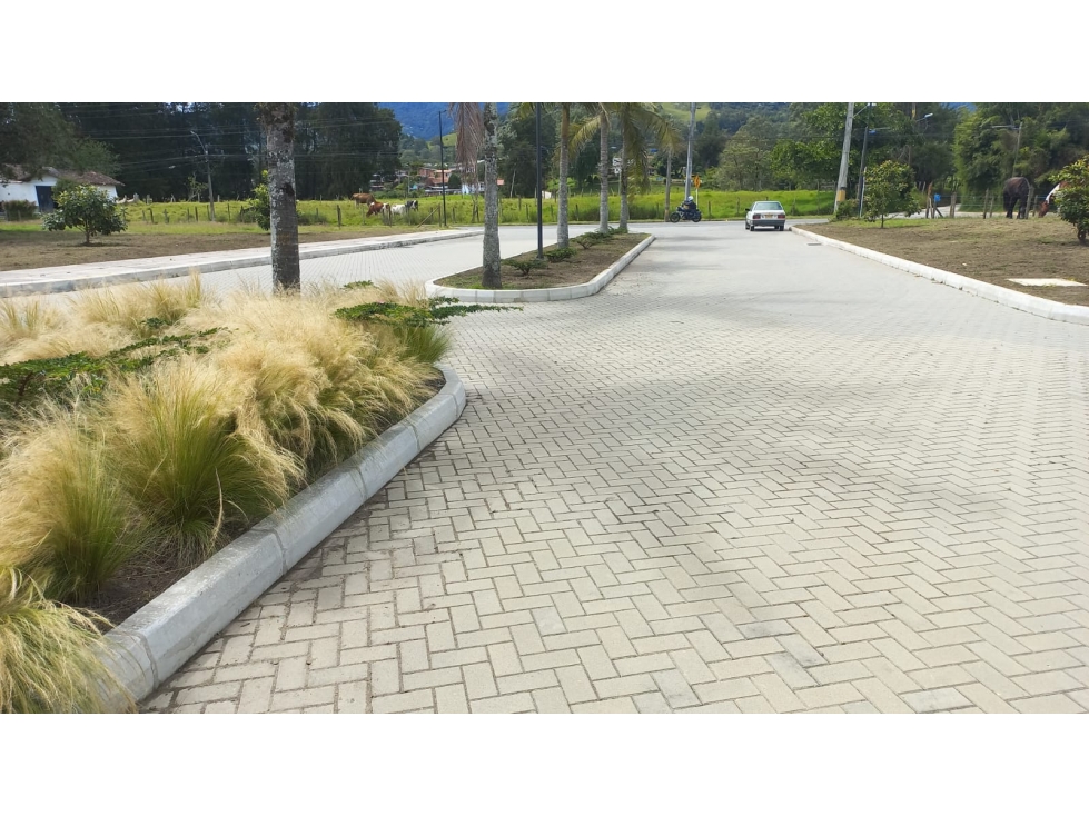 LOTE DE ALTA VALORIZACION PARA VIVIENDA E INVERSION, EN LA CEJA — foto 5