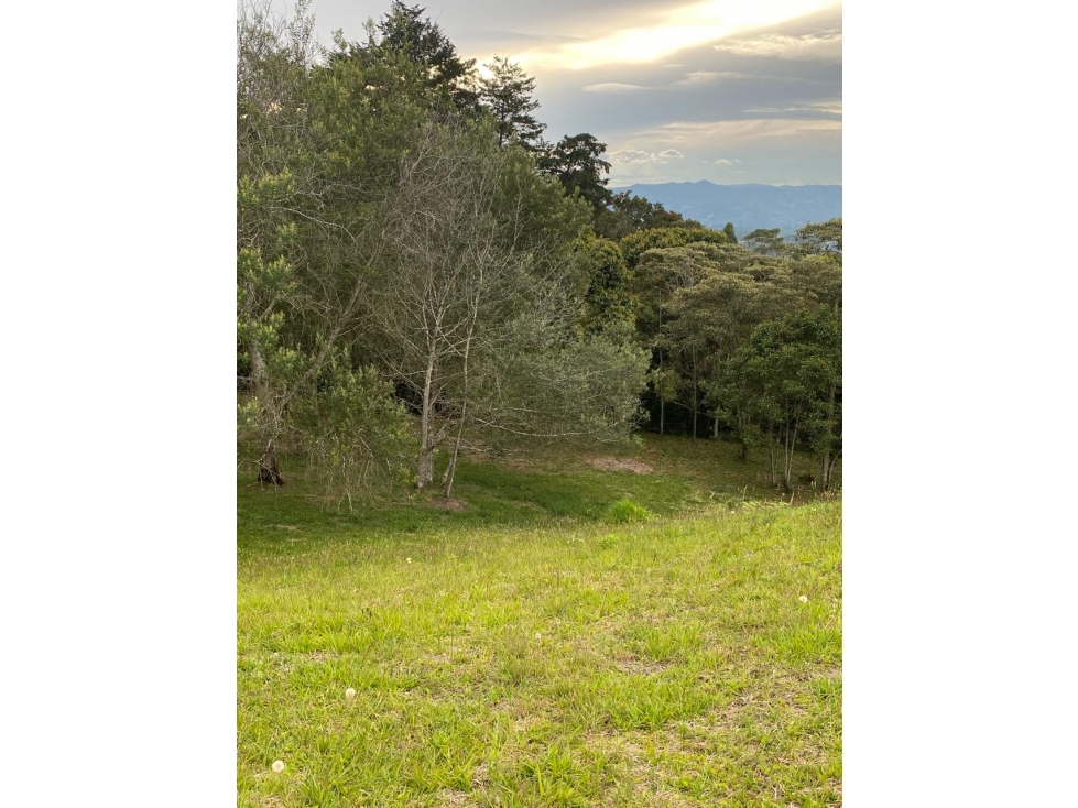 LOTE CAMPESTRE EN PARCELACION EN RIONEGRO — foto 6