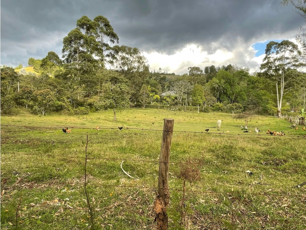 VENTA LOTE EN GUARNE, CON HERMOSA VEGETACIÒN - 2