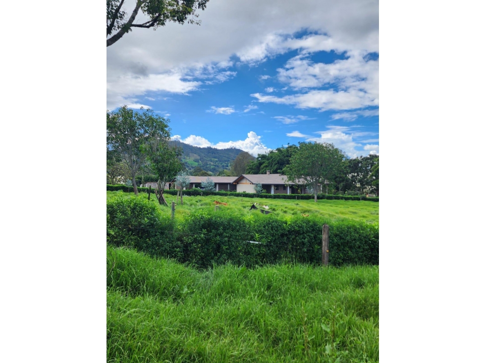 VENTA HERMOSOS LOTES UBICADOS EN LA CEJA, SECTOR YARUMOS — foto 5