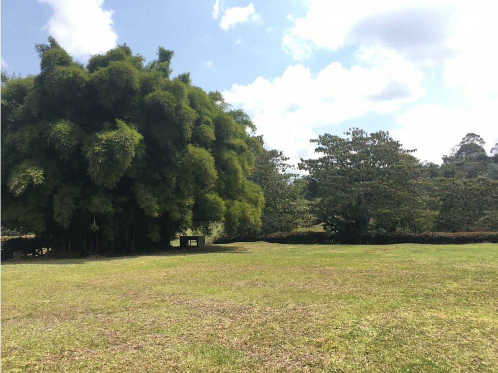 VENTA DE HERMOSO LOTE PLANO EN RIONEGRO ANTIOQUIA, ORIENTE — foto 3