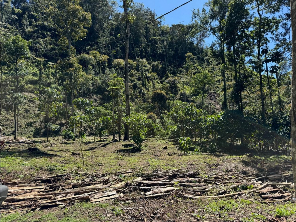 VENTA LOTE CON QUEBRADA Y ARBOLES UBICADO EN PARCELACIÓN- EN EL RETIRO