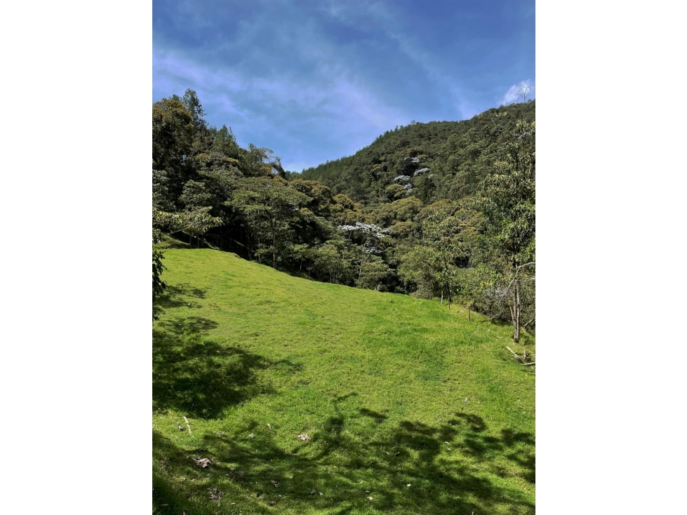 VENTA LOTE EN ESPECTACULAR RESERVA, EN EL RETIRO — foto 4