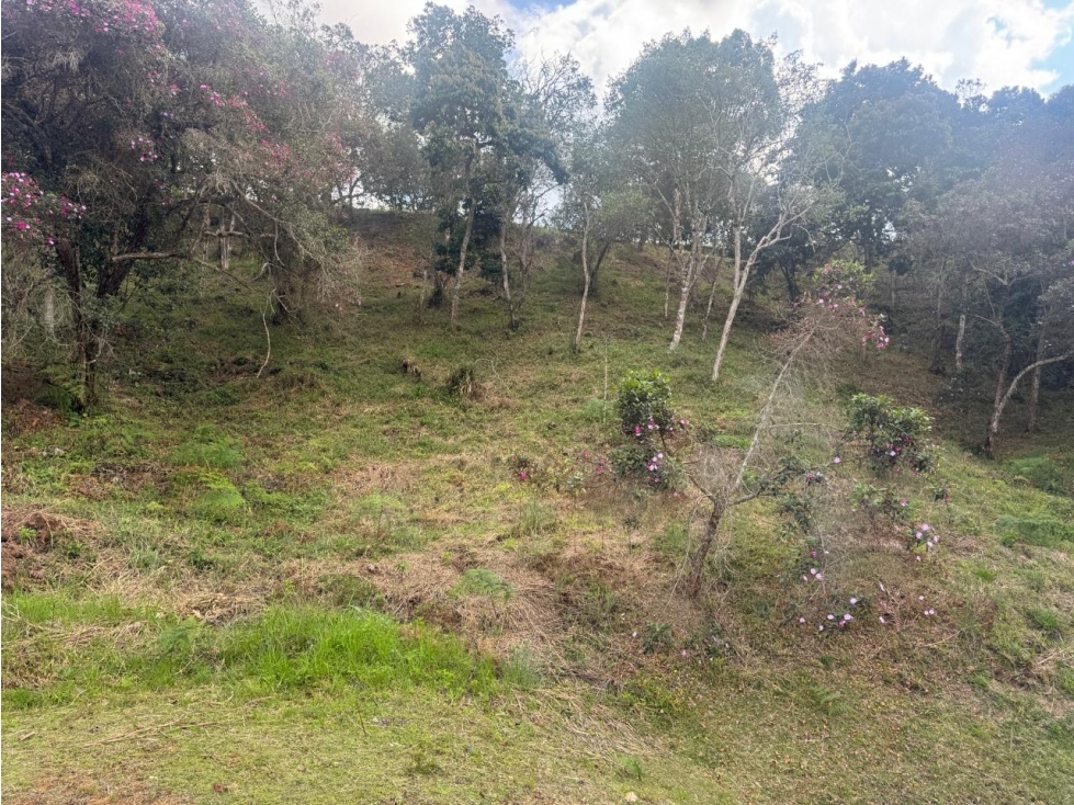 LOTE EN UNIDAD CERRADA VIA SAN ANTONIO DE PEREIRA - LA CEJA