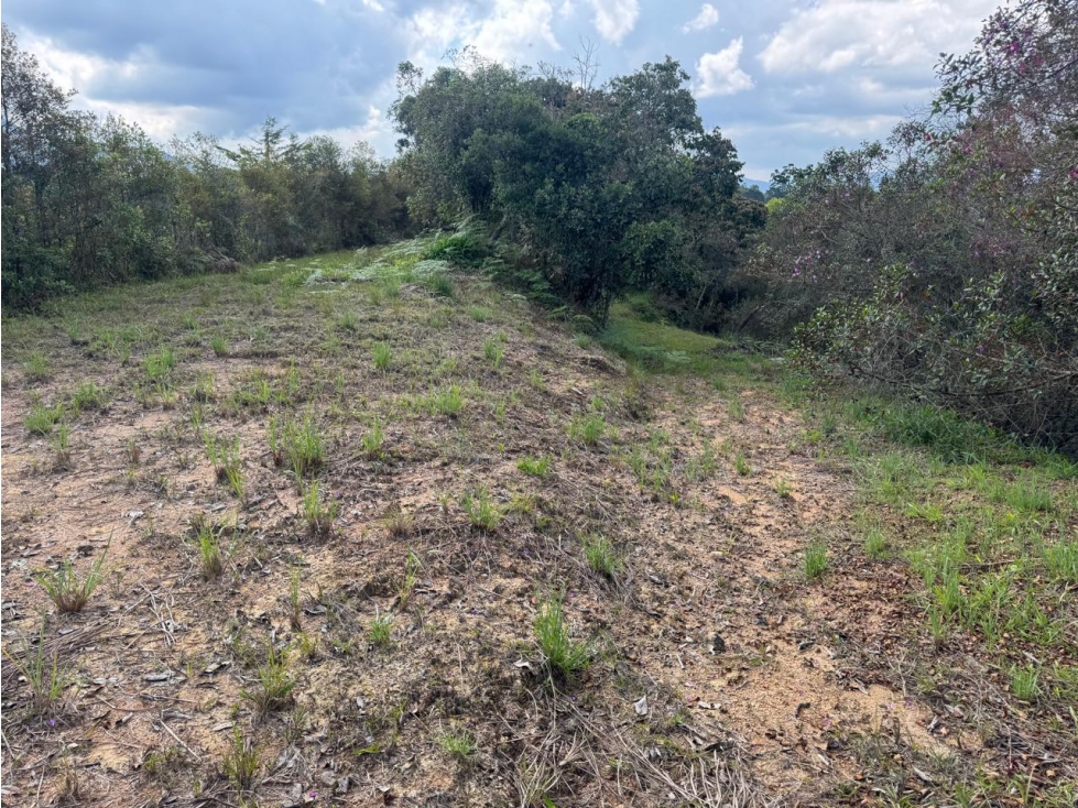 LOTE EN UNIDAD CERRADA VIA SAN ANTONIO DE PEREIRA - LA CEJA — foto 2