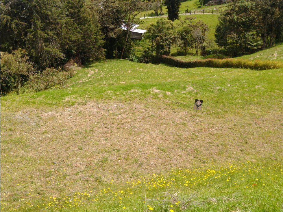 Lote en parcelación Envigado Alto Palmas