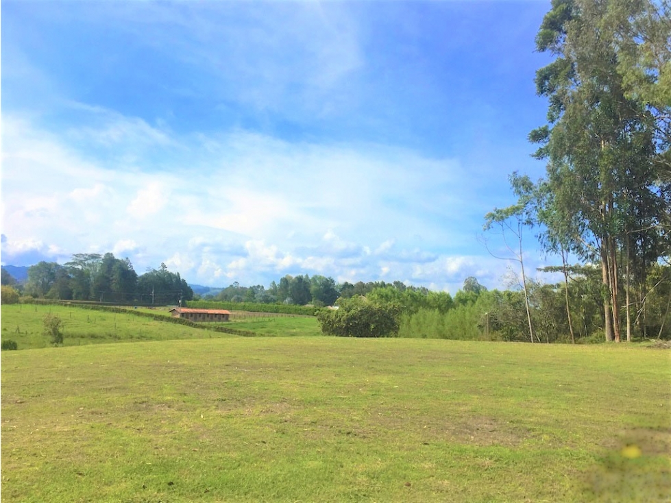 Venta de Lote en Rionegro - 1