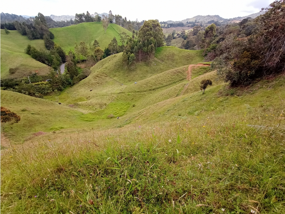 Lotes en Proyecto Parcelación El Retiro