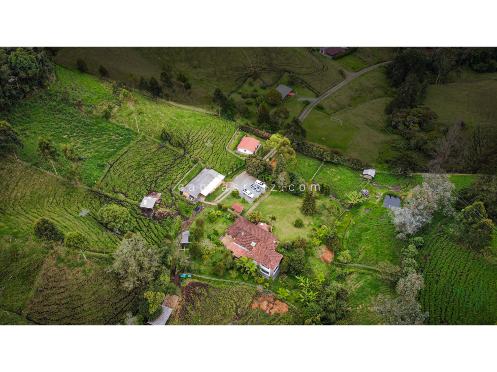 Finca Independiente Vereda Amapola — foto 3
