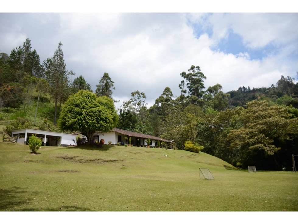 Finca Independiente sector La Mal Sentada Rionegro