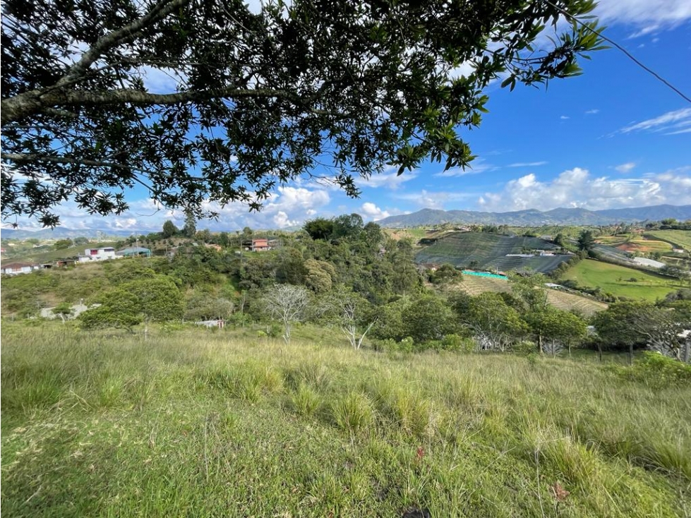 Lote Independiente La Palma Carmen Viboral