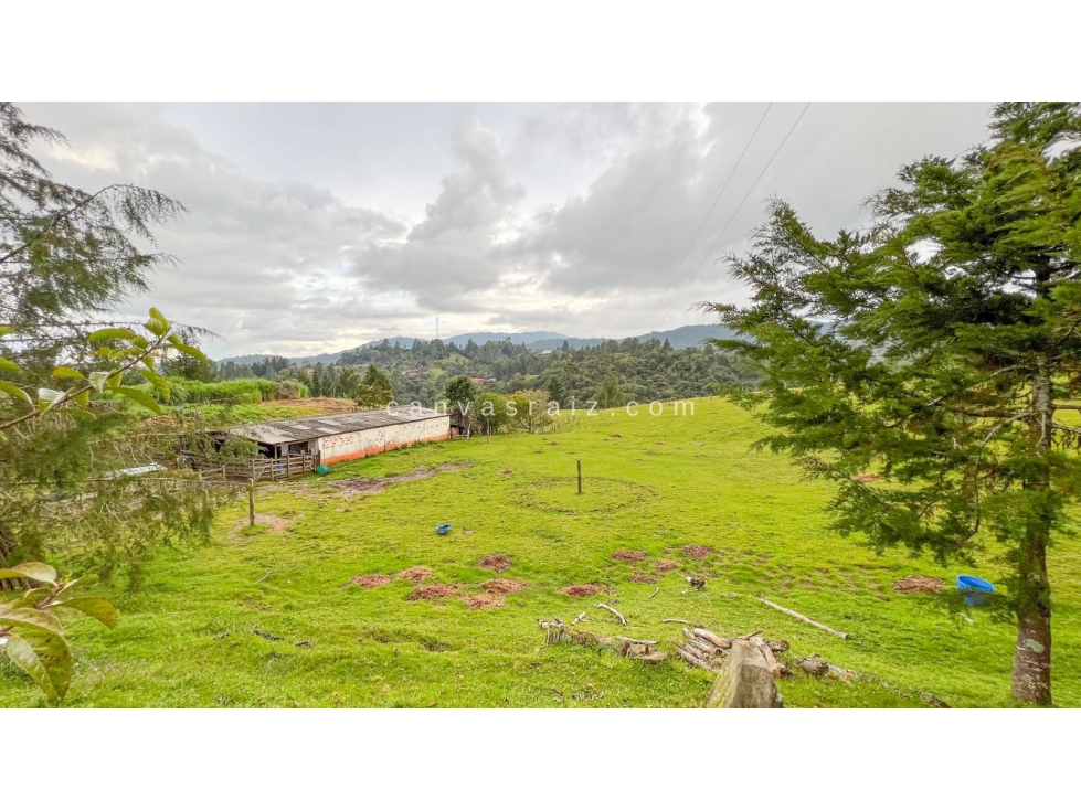 Lote Independiente Vía Las Palmas Envigado
