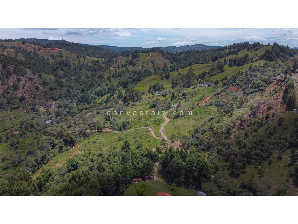 VENTA DE LOTE INDEPENDIENTE 100.117 M2 SECTOR SAJONIA