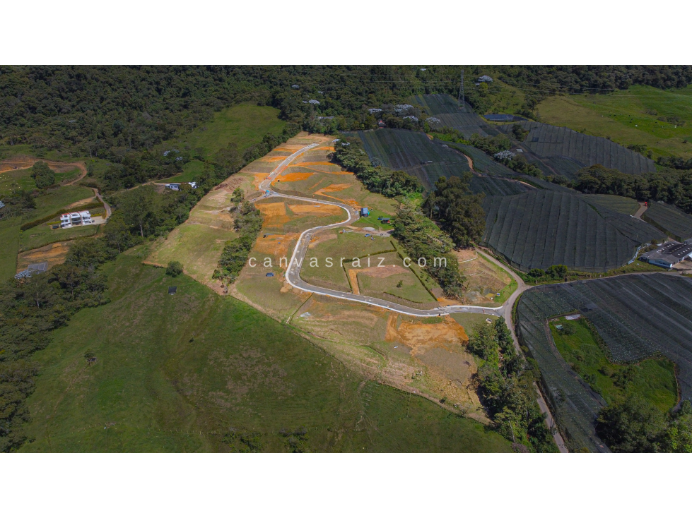Lote en Condominio Campestre La Ceja