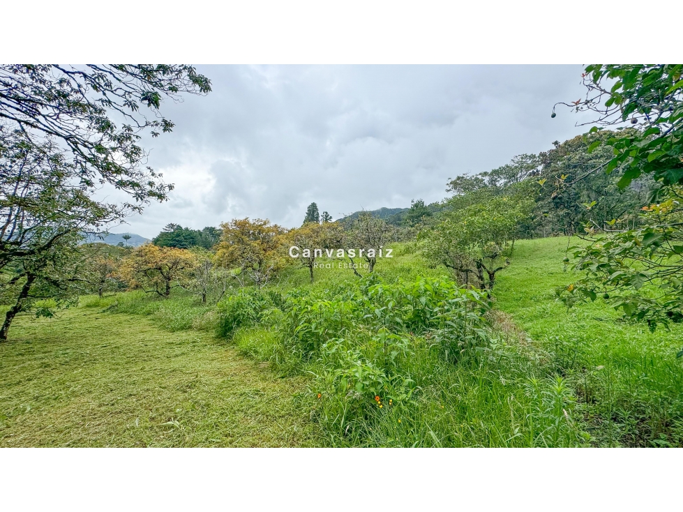 Venta de Lote en Parcelación Vía San Antonio - La Ceja