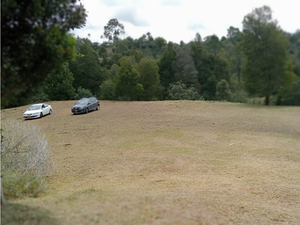 Venta de Lote en Parcelación Llanogrande
