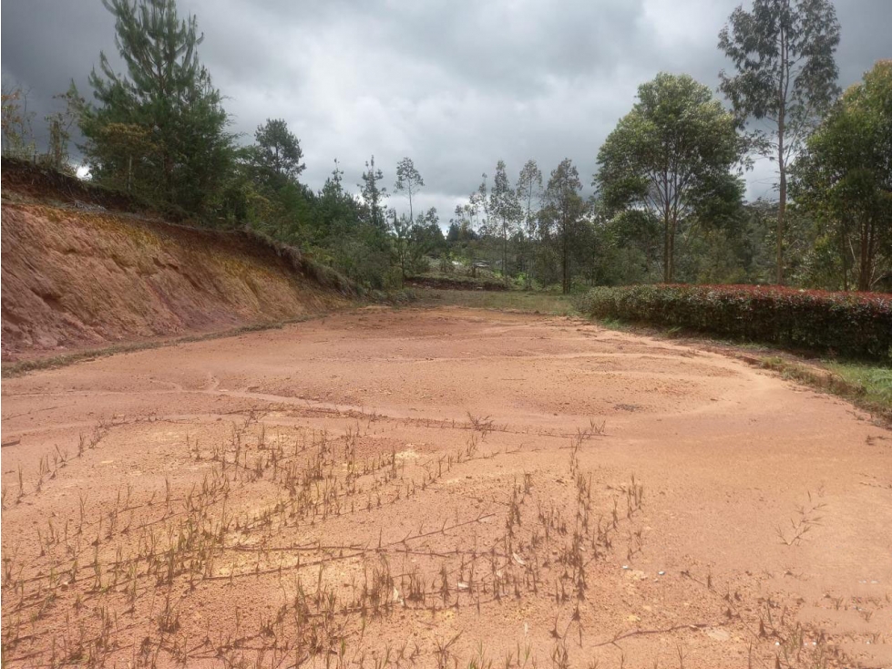 VENTA DE LOTE INDPENDIENTE VEREDA EL CHUSCAL