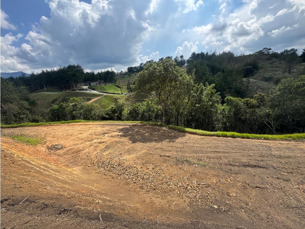 LOTE INDEPENDIENTE VÍA SAN ANTONIO - LA CEJA
