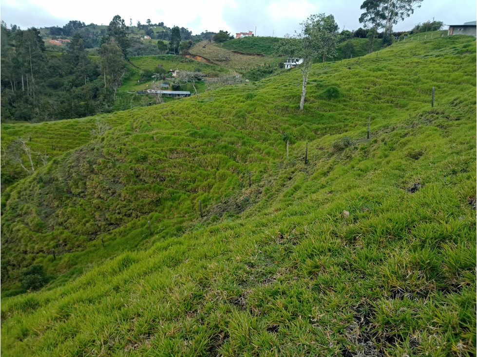 Venta de Lotes Independientes en El Santuario — foto 5