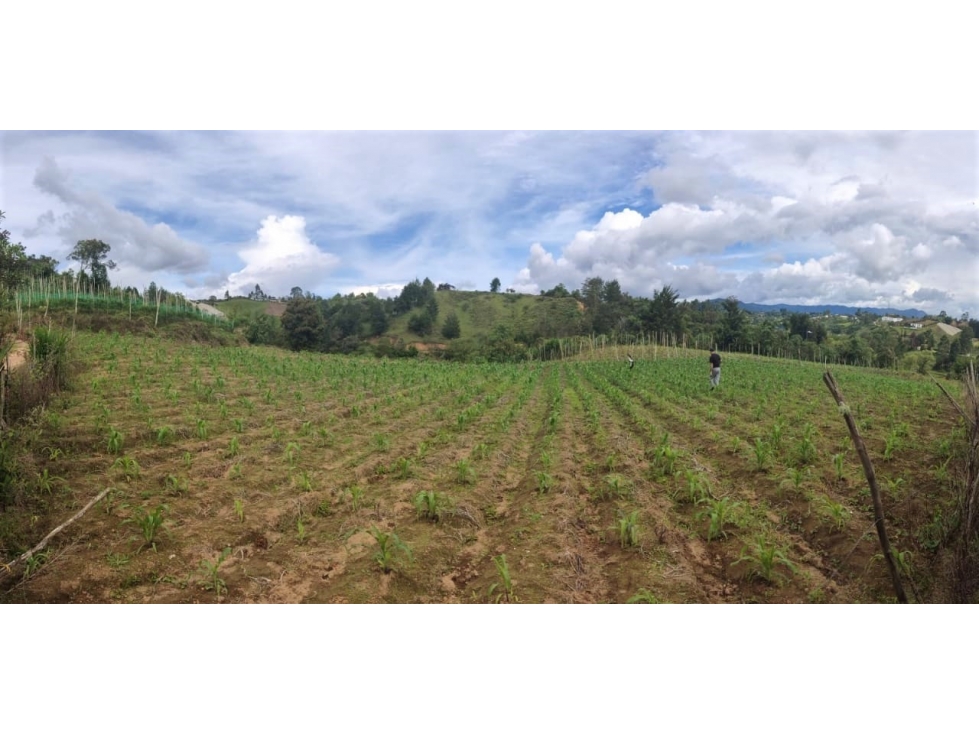 Venta de Lote en Marinilla - 1