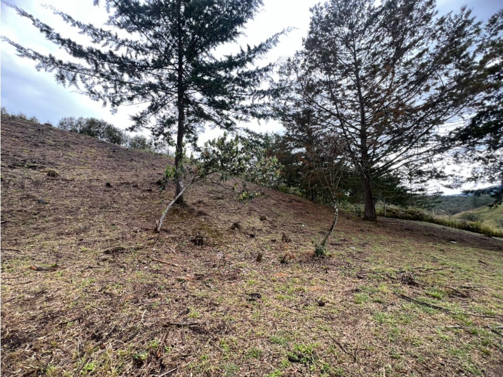 EN VENTA LOTE EN PARCELACIÓN VÍA SAN ANTONIO LA CEJA — foto 5