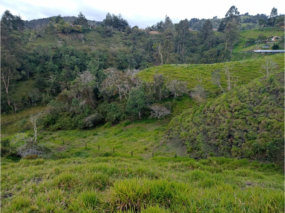 Venta de Lotes Independientes en El Santuario — foto 6