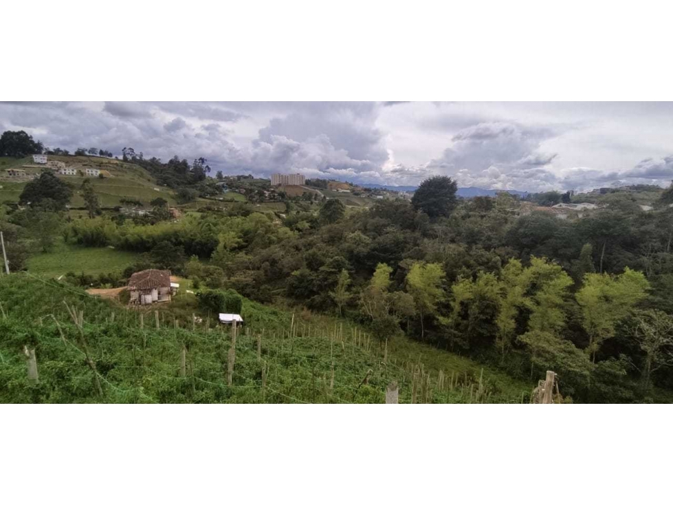 Venta de Lote en Marinilla - 2